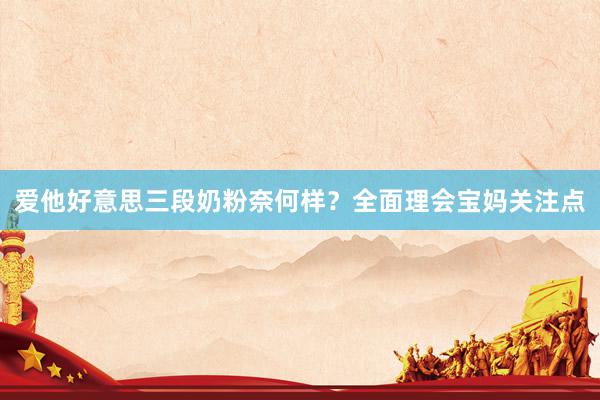 爱他好意思三段奶粉奈何样？全面理会宝妈关注点