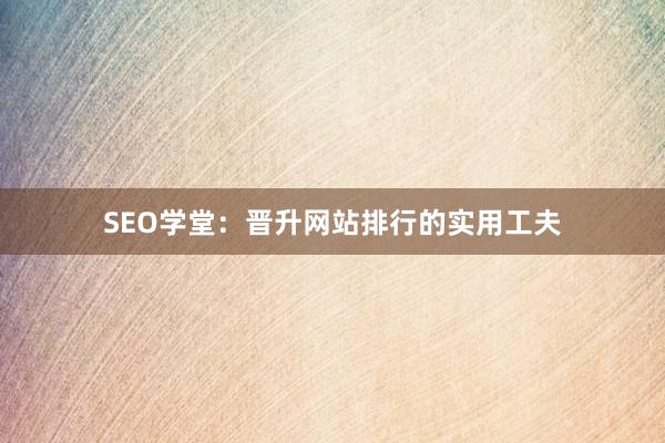 SEO学堂：晋升网站排行的实用工夫